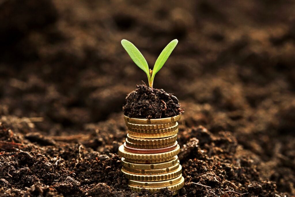 Stack Of Coins Growing Plant Concept Of Growing Money